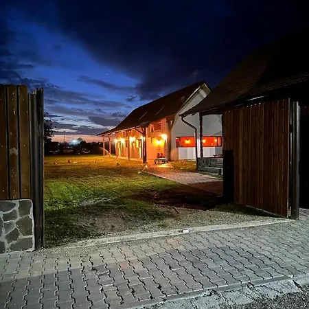 Casa De Lemn Arpasu De Jos