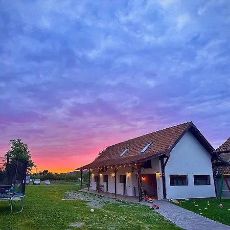 Lodge Casa De Lemn Arpasu De Jos *