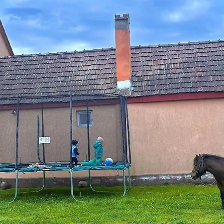 Lodge Casa De Lemn Arpasu De Jos Arpasu de Jos
