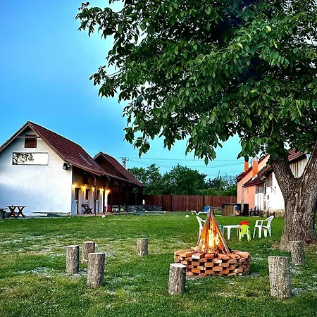Casa De Lemn Arpasu De Jos Lodge Arpasu de Jos